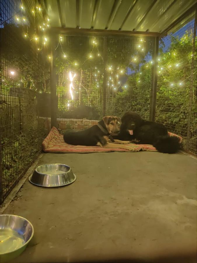 H7Stay Luxury Cottages And Camps, ริชิเคช ภายนอก รูปภาพ